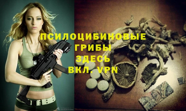 spice Волоколамск